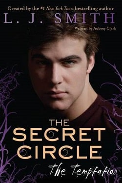 The Temptation (The Secret Circle 6) by L.J. Smith