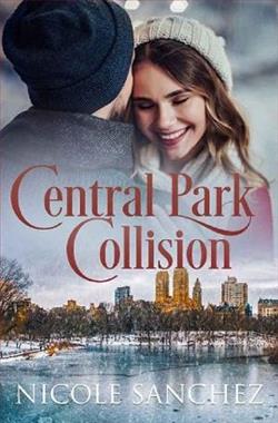 Central Park Collision by Nicole Sanchez