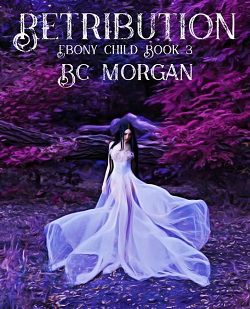 Retribution by B.C. Morgan