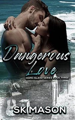 Dangerous Love by S.K. Mason