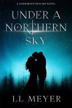 Under a Northern Sky by L.L. Meyer