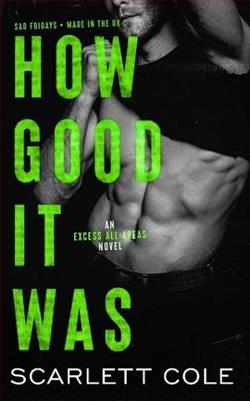 How Good It Was (Excess All Areas 3) by Scarlett Cole