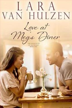 Love at Meg's Diner by Lara Van Hulzen