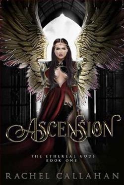 Ascension by Rachel Callahan