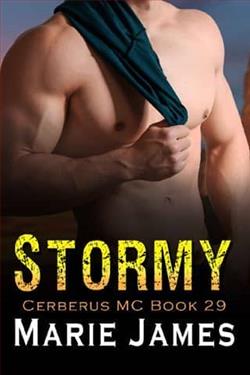 Stormy by Marie James