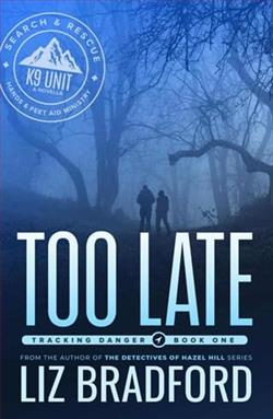 Too Late by Liz Bradford