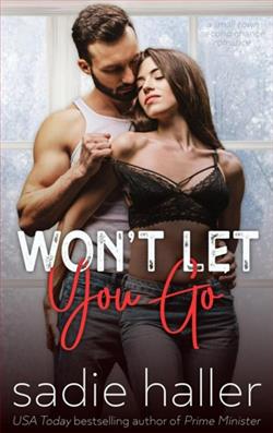 Won't Let You Go (Sin Valley) by Sadie Haller