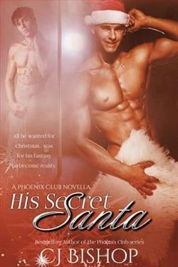 His Secret Santa by C.J. Bishop