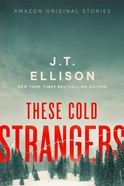 These Cold Strangers by J.T. Ellison