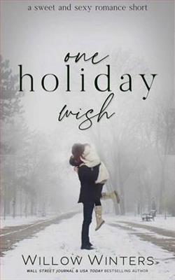 One Holiday Wish by Willow Winters