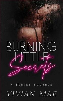 Burning Little Secrets by Vivian Mae