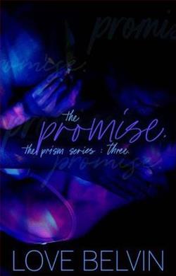 The Promise by Love Belvin