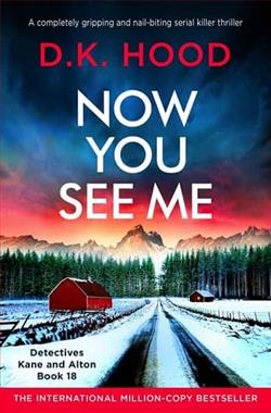 Now You See Me by D.K. Hood