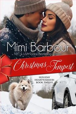 Christmas Tempest by Mimi Barbour