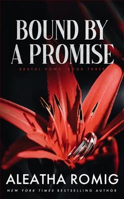 Bound By A Promise by Aleatha Romig