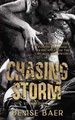 Chasing Storm by Denise Baer