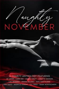 Naughty November by Cara Dee