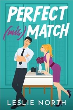 Perfect (mis)Match by Leslie North