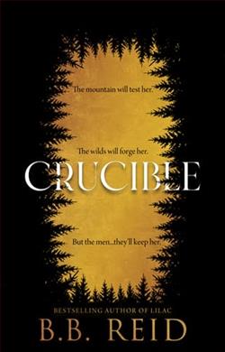 Crucible by B.B. Reid