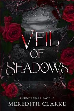 Veil of Shadows by Meredith Clarke