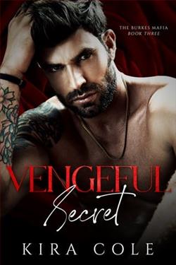 Vengeful Secret by Kira Cole