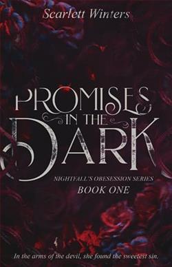 Promises in the Dark by Scarlett Winters