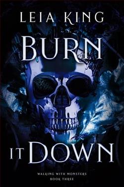 Burn It Down by Leia King