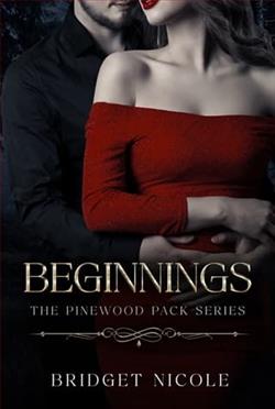 Beginnings by Bridget Nicole