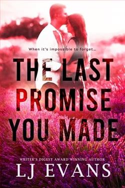 The Last Promise You Made by L.J. Evans