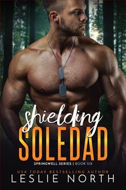 Shielding Soledad by Leslie North