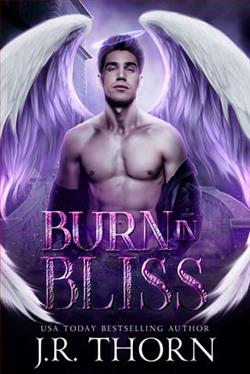 Burn in Bliss by J.R. Thorn