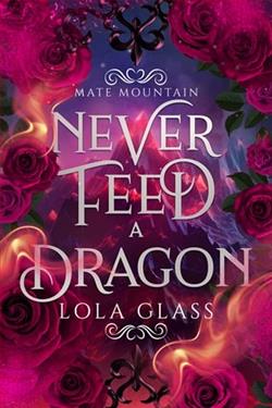 Never Feed a Dragon by Lola Glass