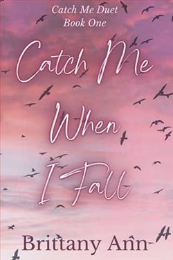 Catch Me When I Fall by Brittany Ann