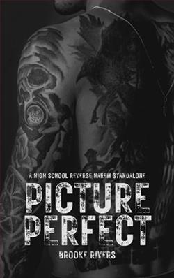 Picture Perfect by Brooke Rivers