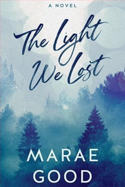 The Light We Lost by Marae Good