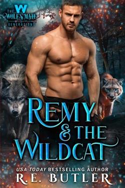 Remy & the Wildcat by R.E. Butler