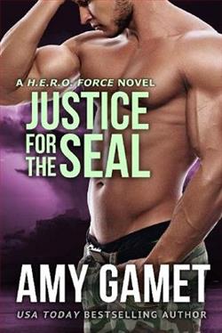 Justice for the SEAL by Amy Gamet