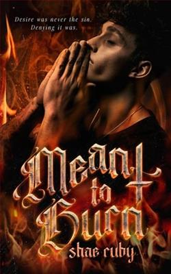 Meant to Burn by Shae Ruby