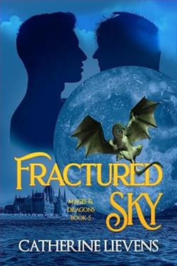 Fractured Sky by Catherine Lievens