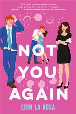 Not You Again by Erin La Rosa