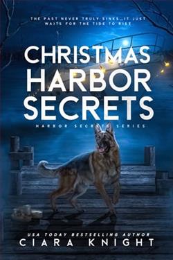 Christmas Harbor Secrets by Ciara Knight