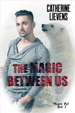 The Magic Between Us by Catherine Lievens