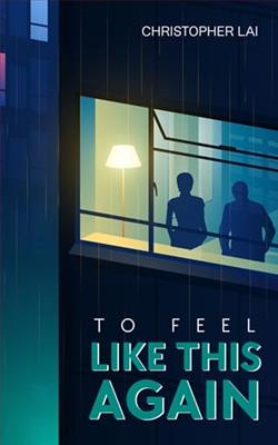 To Feel Like This Again by Christopher Lai
