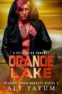 Orange Lake by Aly Tatum