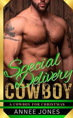 Special Delivery Cowboy by Annee Jones
