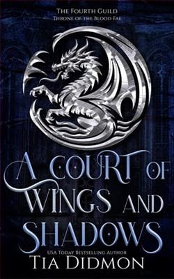 A Court of Wings and Shadows by Tia Didmon