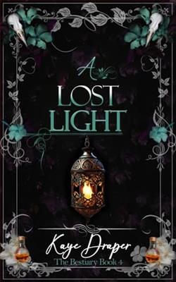 A Lost Light by Kaye Draper