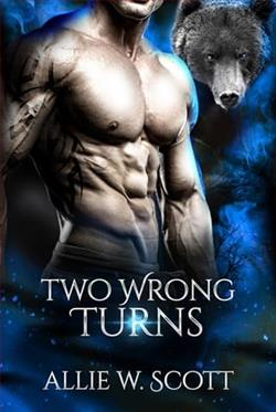 Two Wrong Turns by Allie W. Scott