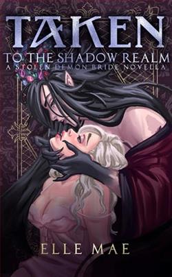 Taken to the Shadow Realm by Elle Mae