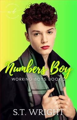 Numbers Boy by S.T. Wright